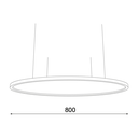 CIRCLE DOWN 80 AKOESTISCH